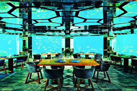 Khám phá lòng đại dương huyền ảo từ nhà hàng dưới nước tại Maldives