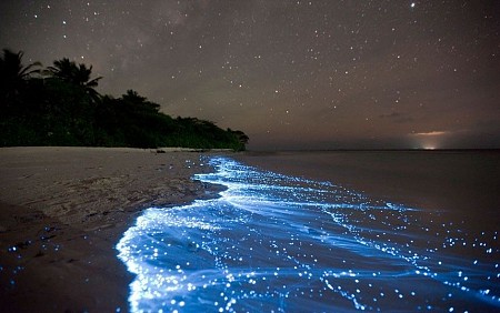 Khám phá những ánh xanh kỳ bí tại Maldives