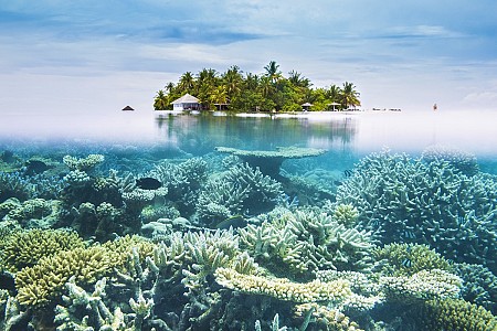 Khám phá những điều thú vị tại vùng biển xanh tuyệt diệu Maldives
