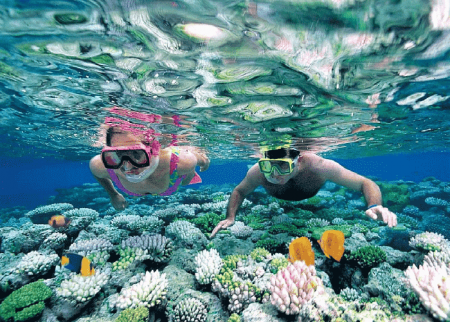 Snorkeling ở Maldives - Khám Phá Đại Dương Bất Tận Dễ Dàng Và Thú Vị