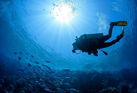 Top những hoạt động dưới nước tại Maldives bạn nên thử
