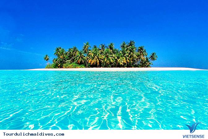 Wallpaper Maldives 5k 4k wallpaper 8k Indian Ocean Best Beaches in the  World palms shore sky OS 5312